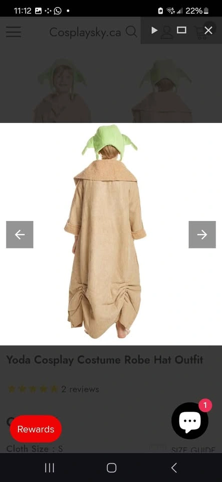 Halloween Costumes - photo 5