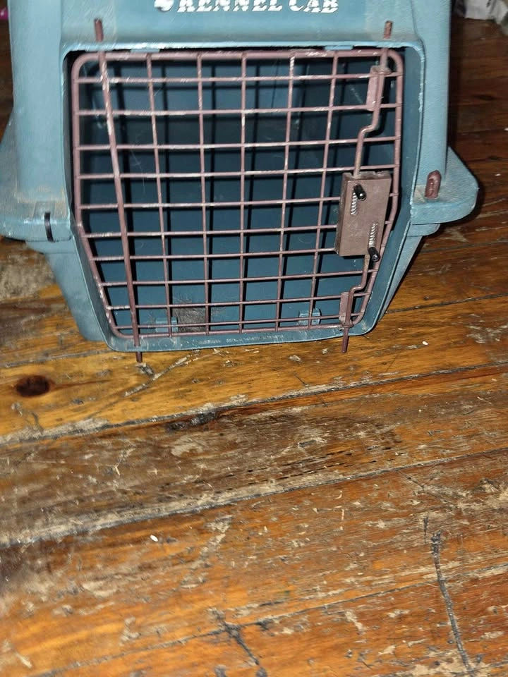 Cat or small dog carriers