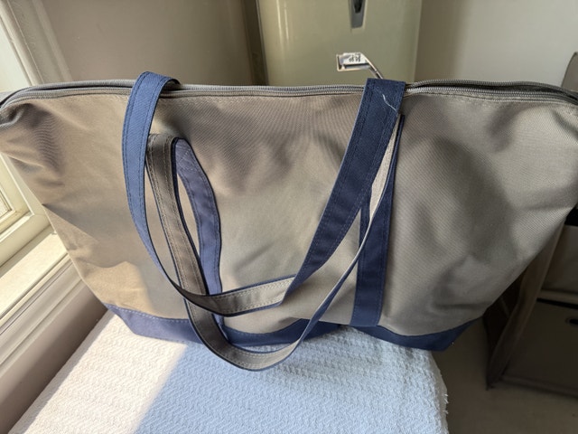 Samsonite Tote Bag - Brand New