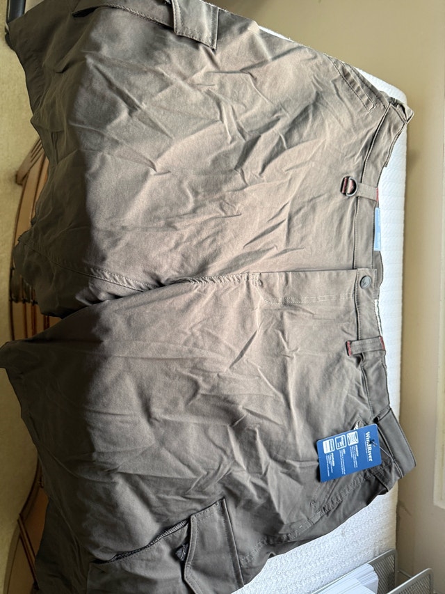 WindRiver Hiking Shorts - men’s - new - photo 4