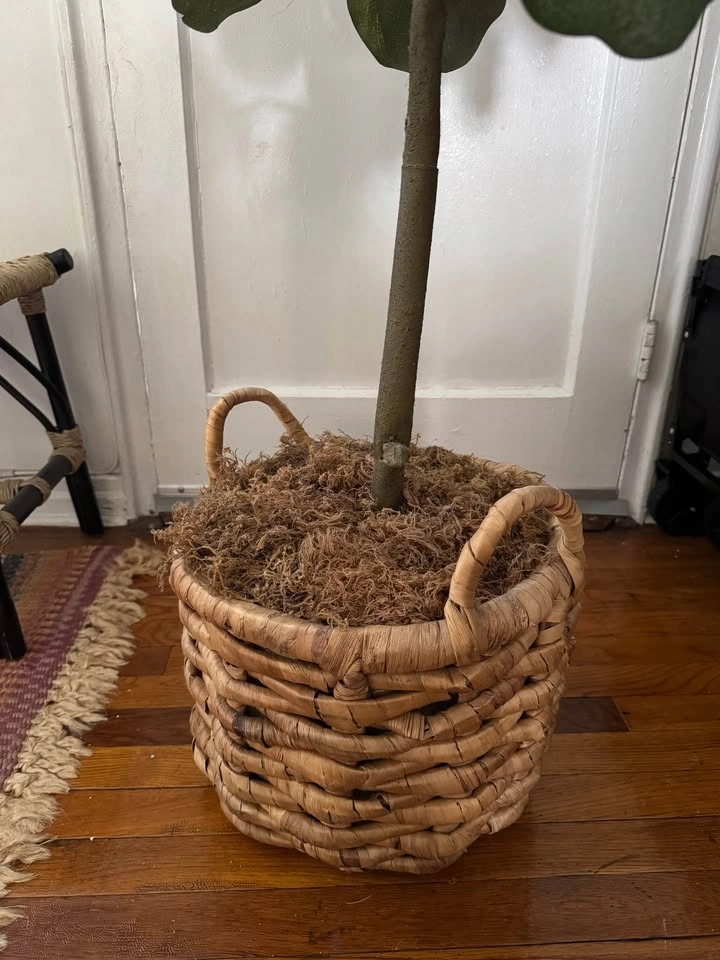 Artificial Fiddle Leaf Fig Tree with Woven Basket - photo 2
