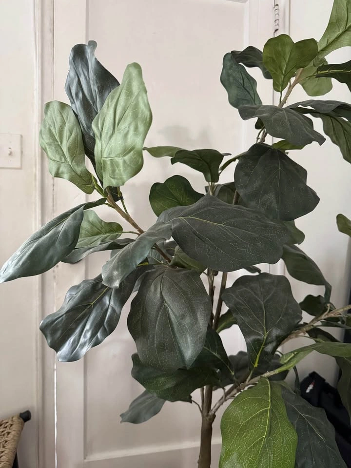 Artificial Fiddle Leaf Fig Tree with Woven Basket - photo 3