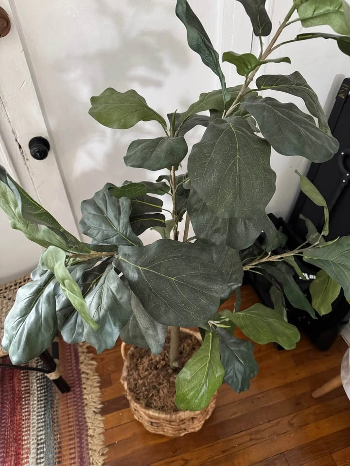 Artificial Fiddle Leaf Fig Tree with Woven Basket - photo 4