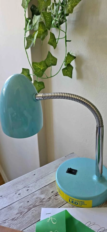 Pair of Teal Flexible Gooseneck Desk Lamps (Set of 2)