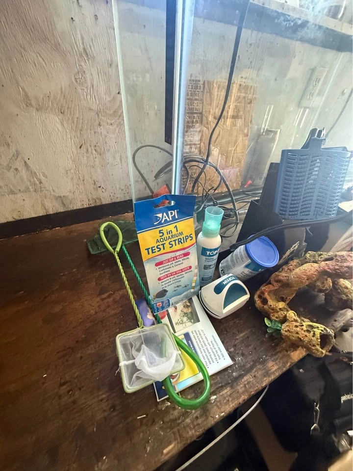 Glass Aquarium with various Accessories - photo 2