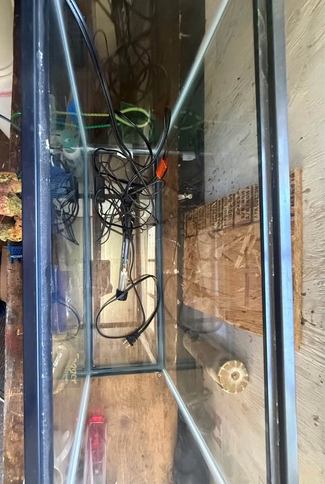 Glass Aquarium with various Accessories - photo 5