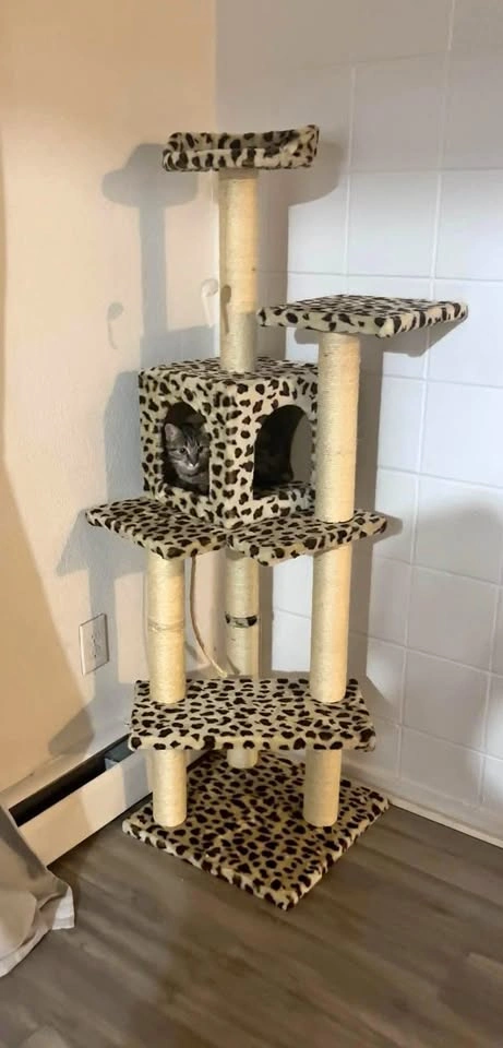 Leopard Print Cat Tree 72”