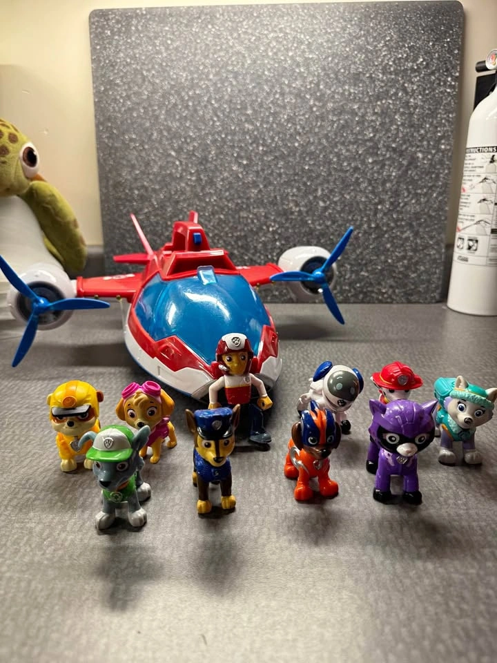 Paw Patrol Plane and characters