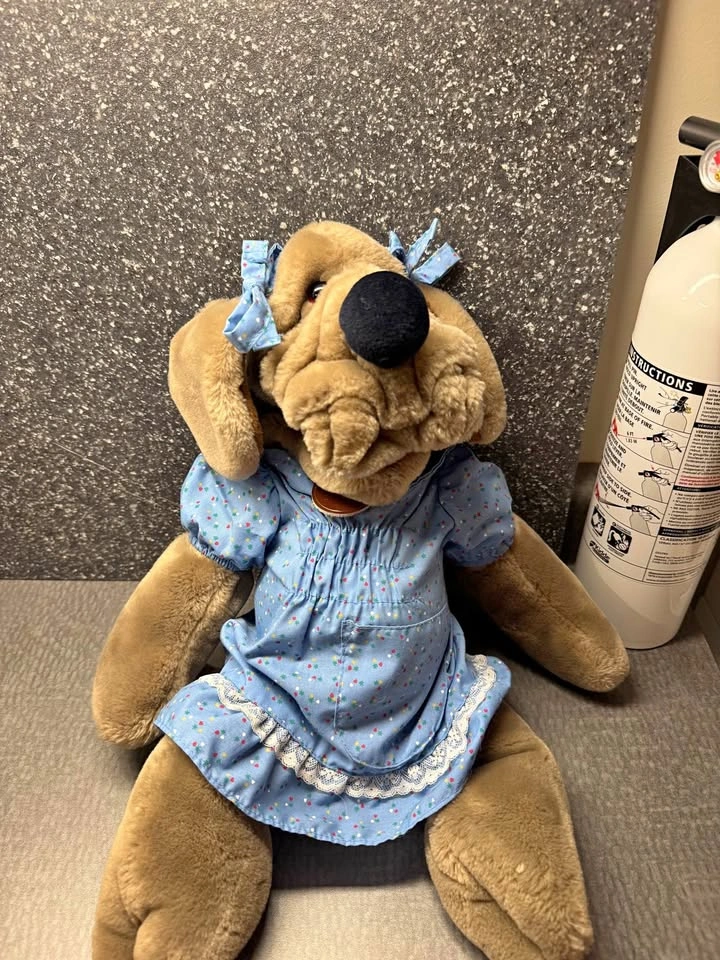 The Heritage Collection Wrinkles dog puppet