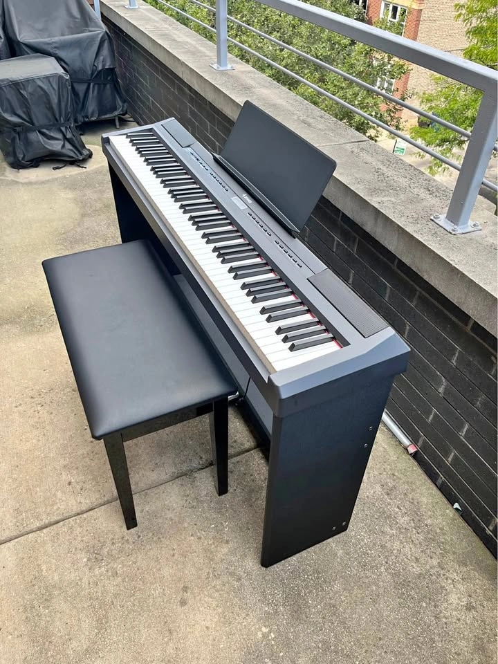 Donner DEP-20 88-Key Weighted Digital Piano with Accessories