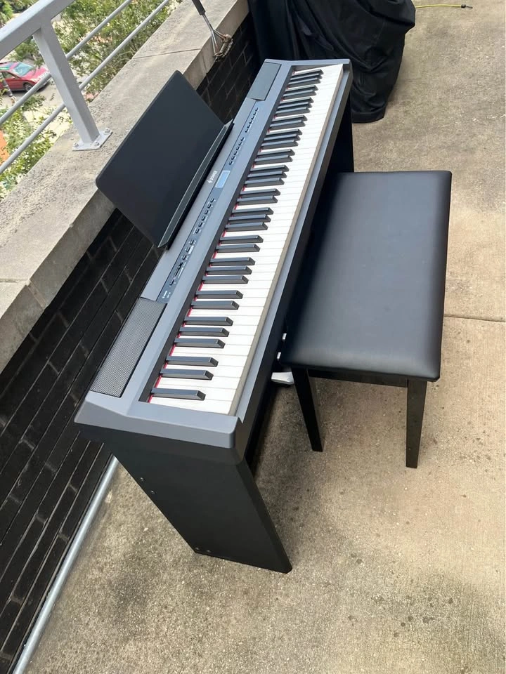 Donner DEP-20 88-Key Weighted Digital Piano with Accessories - photo 2