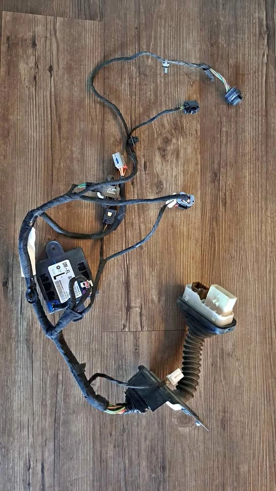 Front Left Door Control Module & Wiring Harness (Chrysler/Dodge/