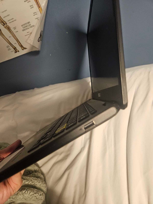 ASUS Laptop - Modern - photo 5