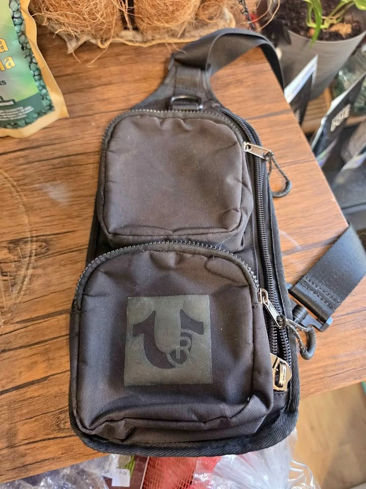 True Religion Sling