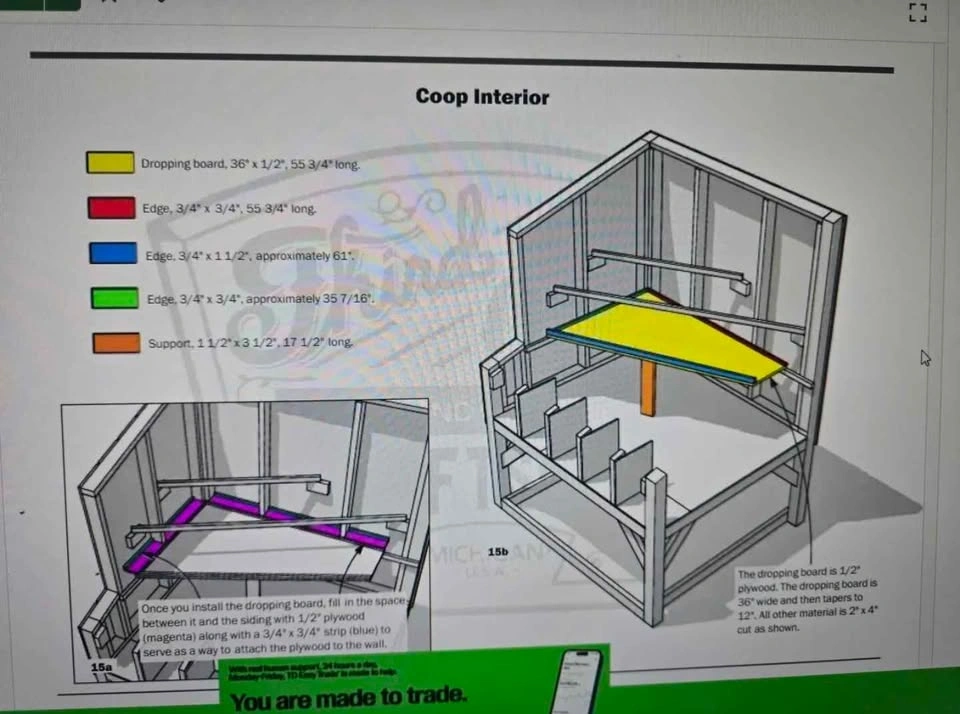 Looking for: Chicken Coop for 4 Hens - photo 2