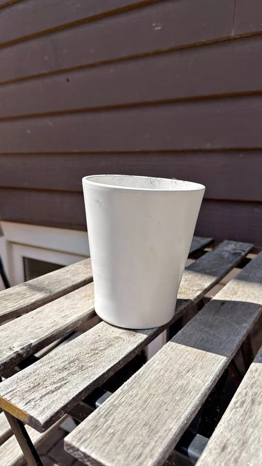 White Ceramic Plant Pot, 8 Inch