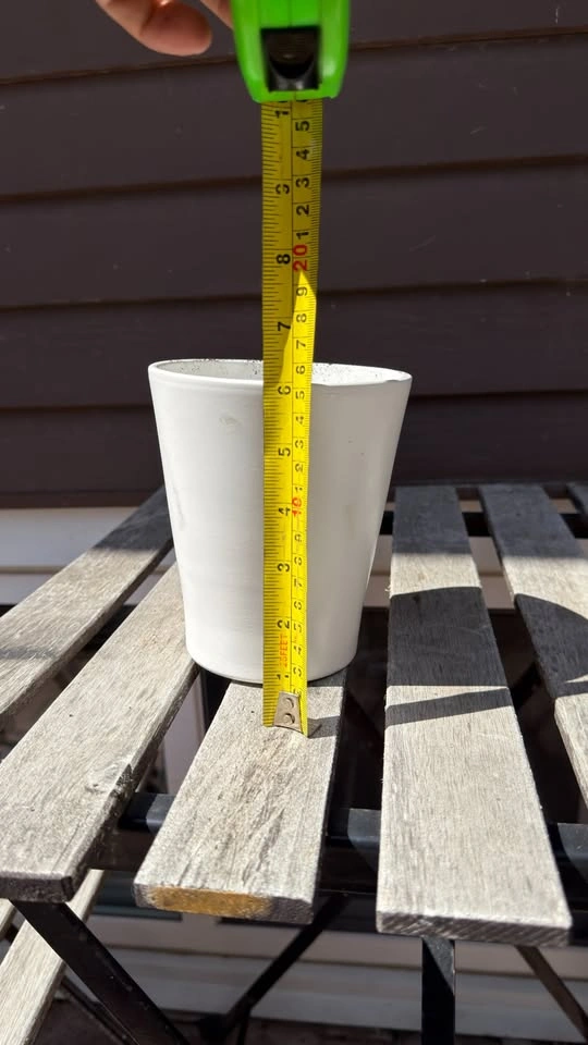 White Ceramic Plant Pot, 8 Inch - photo 2
