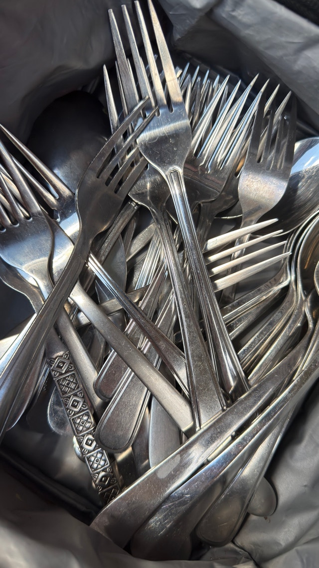 Stainless Steel Flatware Set