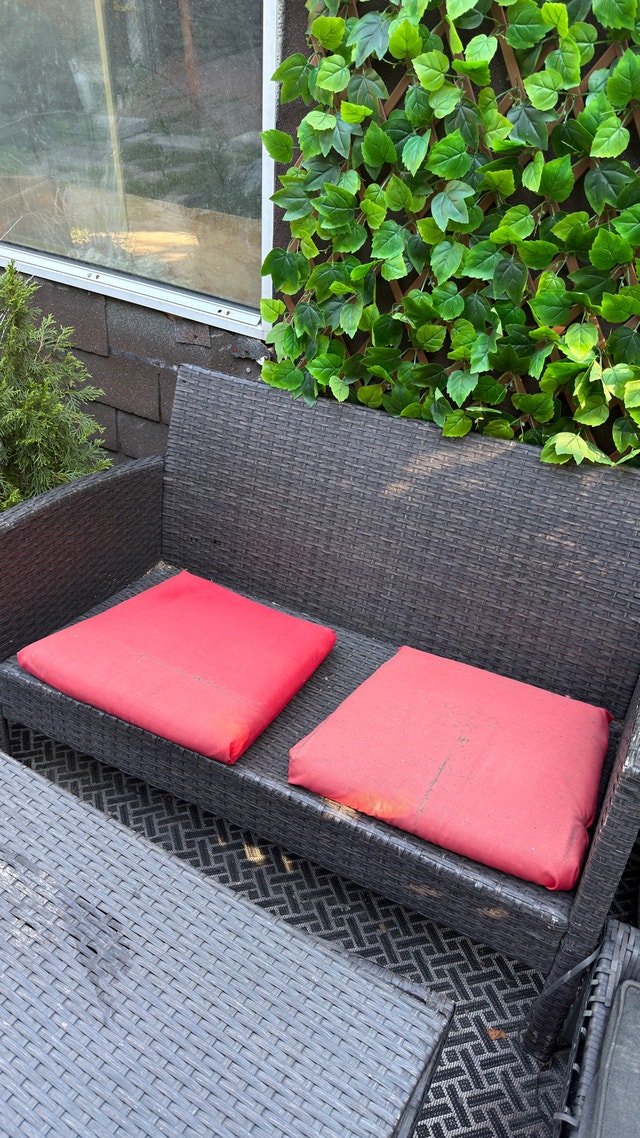 2 Red Cushions (reupholstered)