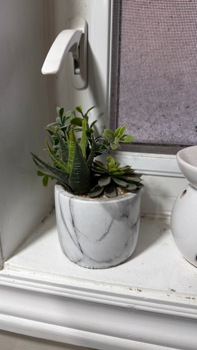 Artificial Succulent Plant in Marble Pot