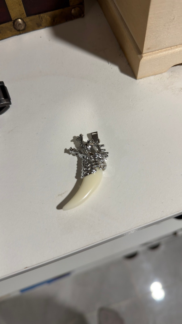 Dragon Tooth Pendant