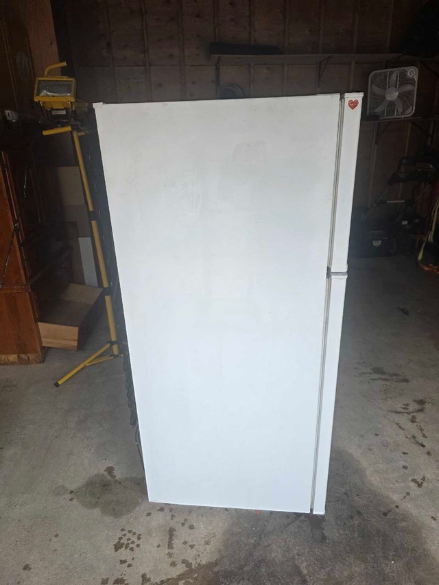 GE GTR12BAXARWW Refrigerator - photo 4