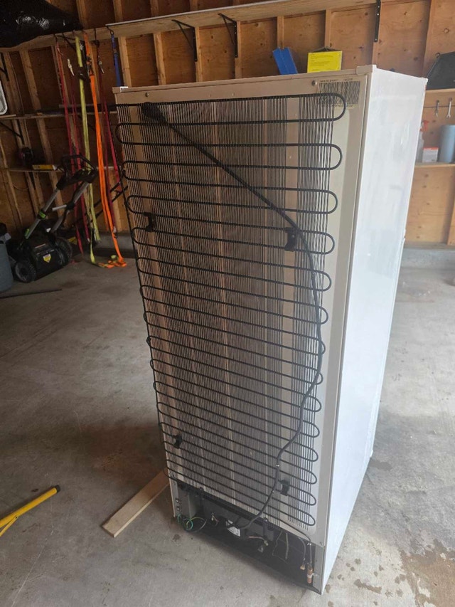 GE GTR12BAXARWW Refrigerator - photo 5