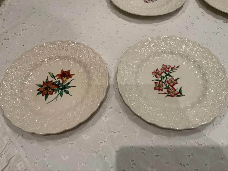 Plates Dessert / Luncheon Copeland SPODE 1967 Canadian Provincia - photo 4