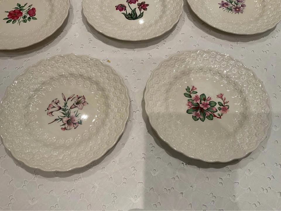 Plates Dessert / Luncheon Copeland SPODE 1967 Canadian Provincia - photo 5