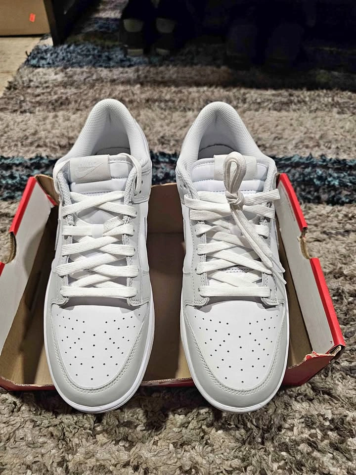 Brand New Nike Dunk Low