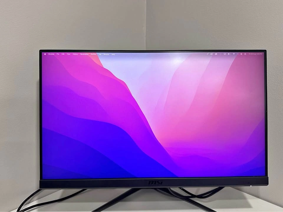MSI 144hz Gaming Monitor, Optix G241, 24”