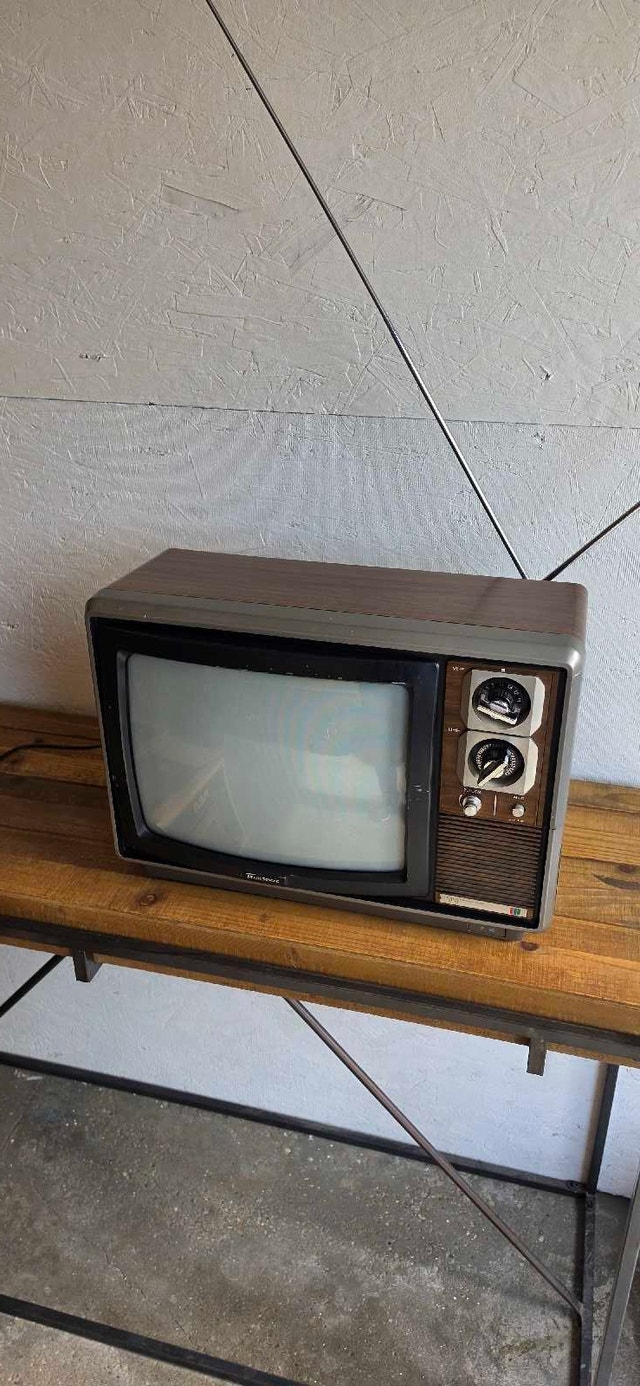 TranSonic 14" Color TV CRT - photo 3