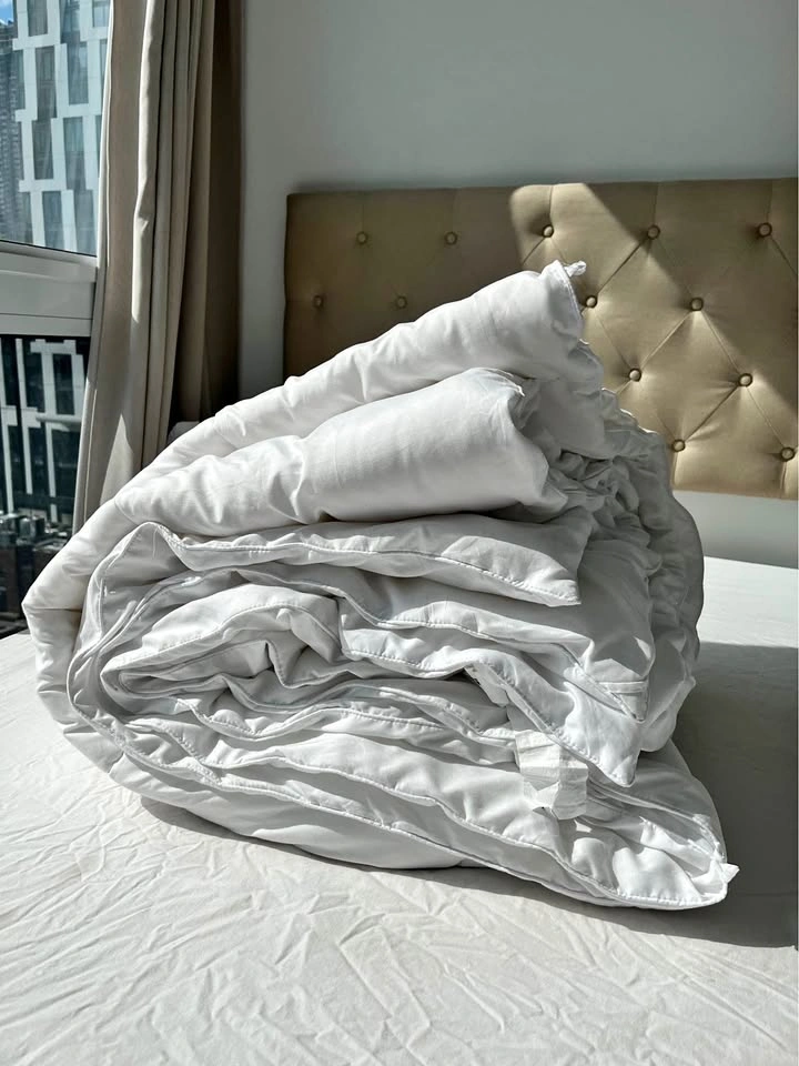 Queen size Duvet/ Comforter