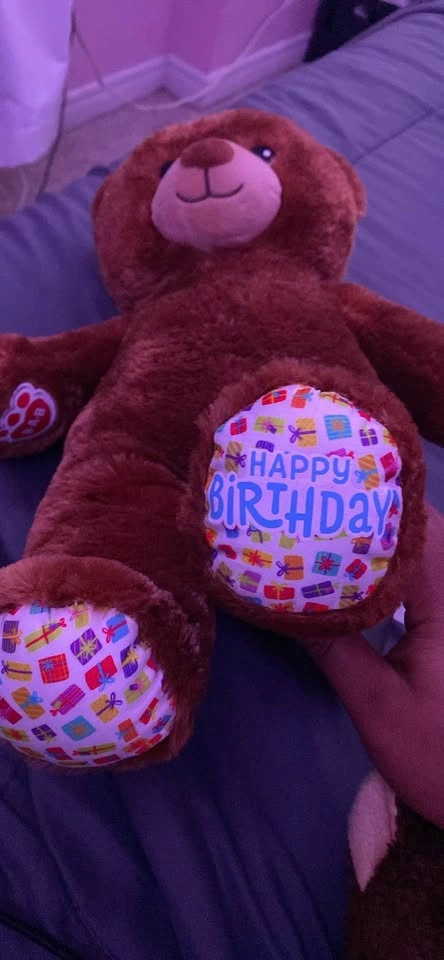 Build-A-Bear Workshop Birthday Treat Bear - photo 2