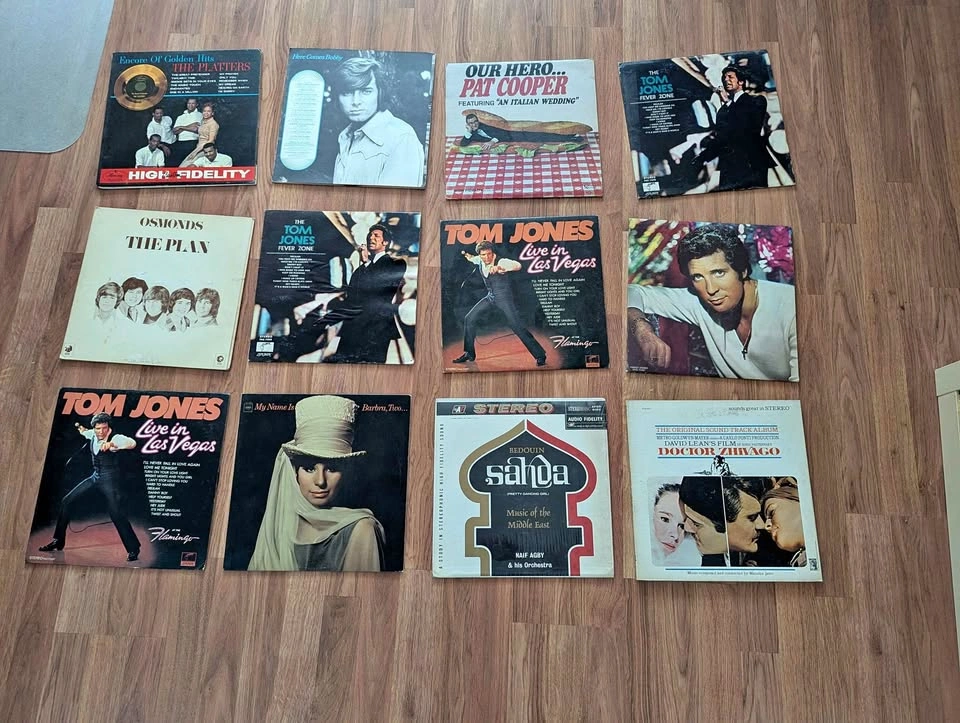 Large Vinyl Collection (85 Records)