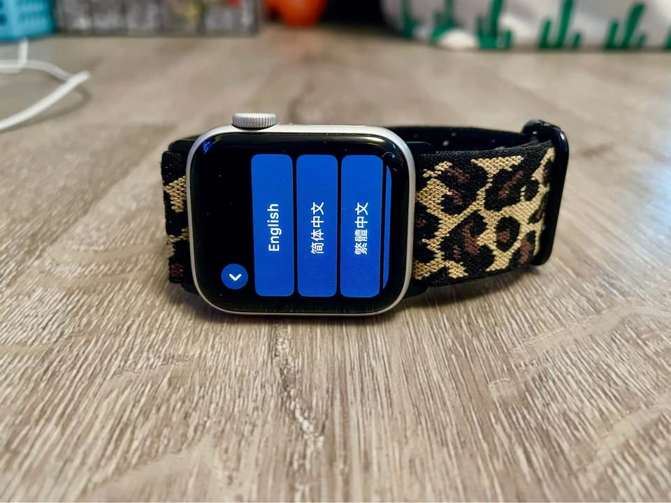 Apple Watch SE 40mm and various watch bands - photo 3