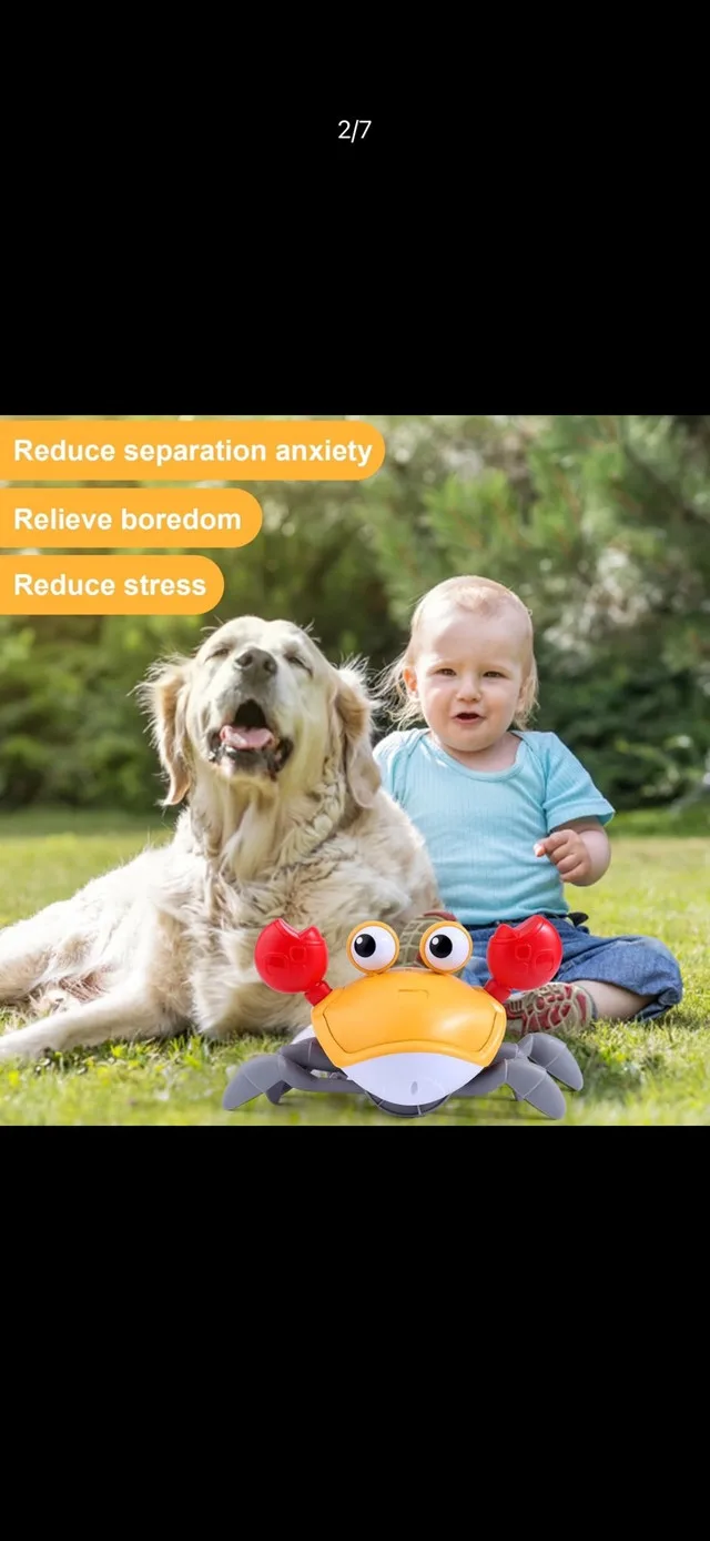 Cute Electric Crab (NEW) image indicator(4)