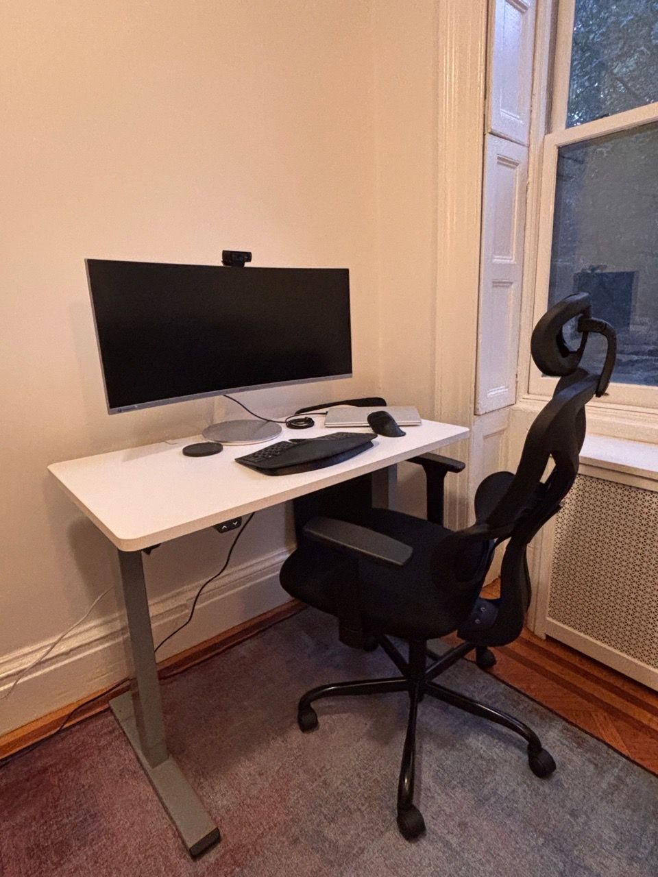 Flexispot Standing Desk