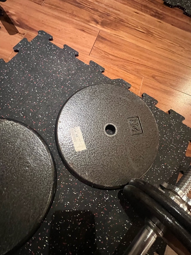 25 lb Cast Iron Weight Plates
