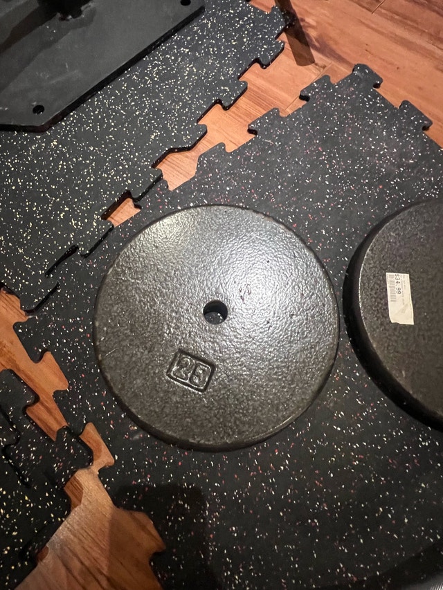 25 lb Cast Iron Weight Plates - photo 2