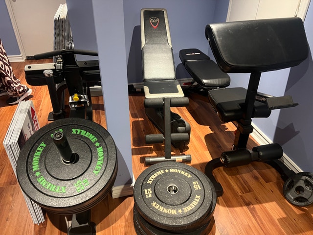CAP Strength Workout Bench (on left)