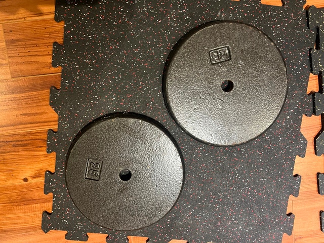 25 lb Cast Iron Weight Plates