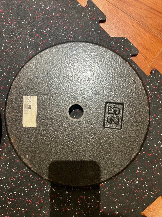 25 lb Cast Iron Weight Plates - photo 2