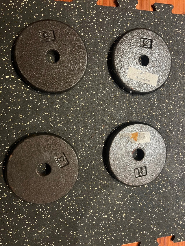 Set of 4 Cast Iron 5lb Weight Plates