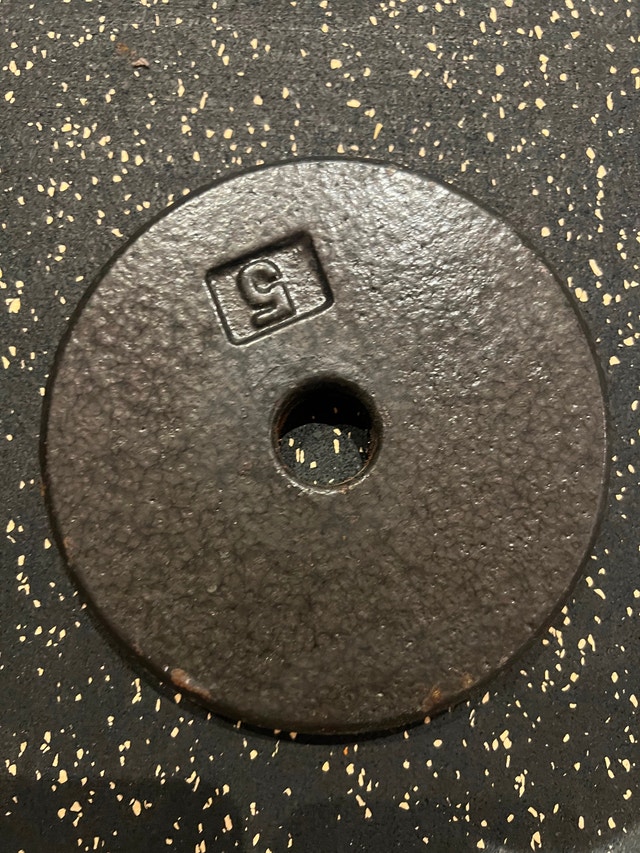 Set of 4 Cast Iron 5lb Weight Plates - photo 2