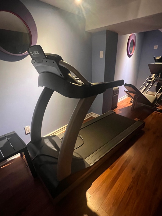 TRUE Treadmill fitness performance 800