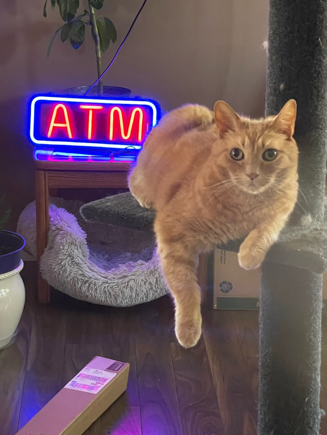 NEON ATM LIGHT new in box - photo 4