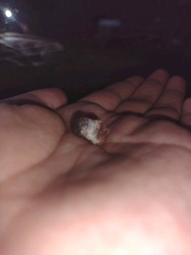 Raw UnPolished Earthly Rock Specimen REALLY COOL!
