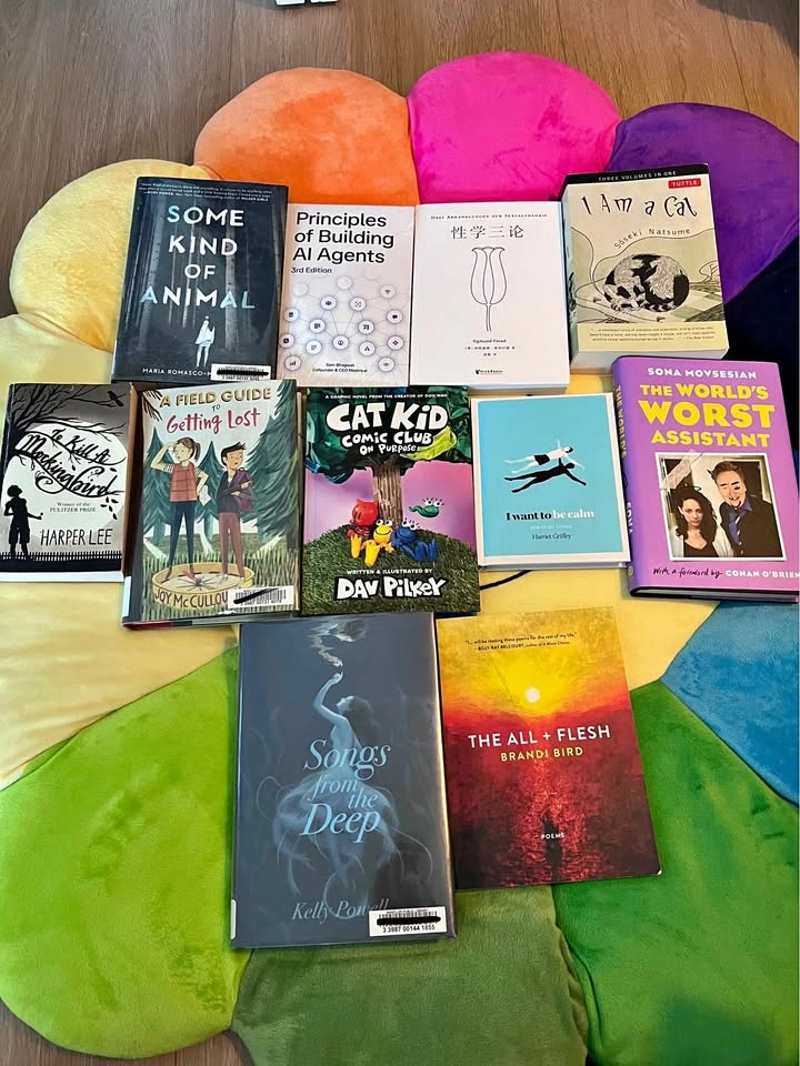 Lot of 11 Books - Fiction, Non-Fiction, and Graphic Novels