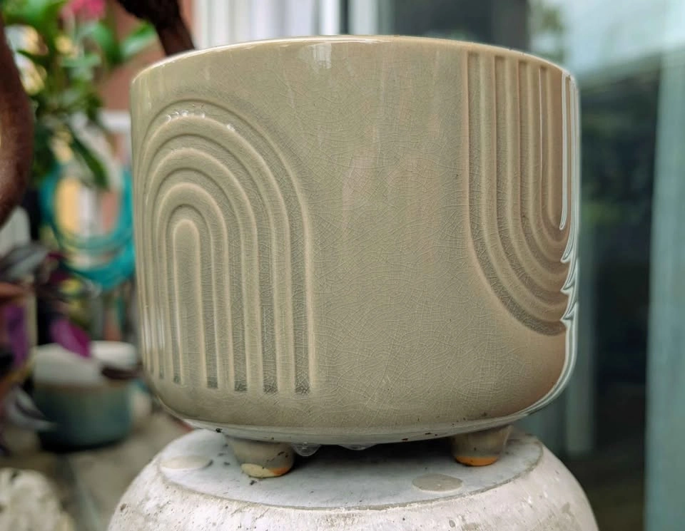 Create your own potted plant - photo 2